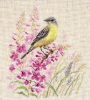 1-38 Wagtail 16x18 cm