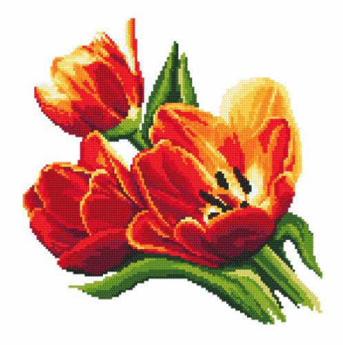 8275 Gyönyörű tulipánok 34x34 cm