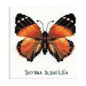HB094 Nymphalidae Butterfly 13x13 cm