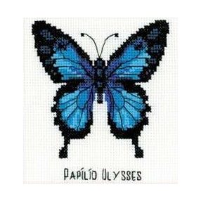 HB095 Ulysses Butterfly 13x13 cm