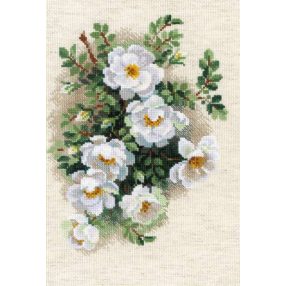1351 White Briar 21x30 cm