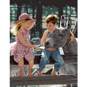 142 540 Country Days 37x47,5 cm