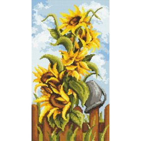 8287 Napraforgók a kertben 24x43 cm