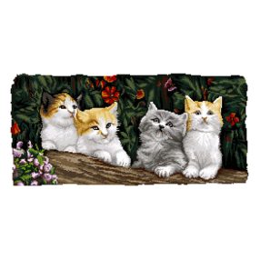 7194 Cats 67x34 cm