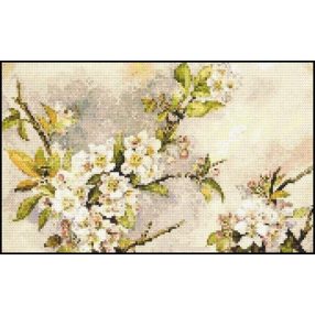 CRC - Ébredő természet