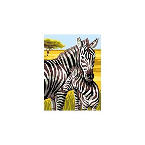 107 166 Zebra 20x25 cm
