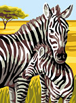 107 166 Zebra 20x25 cm