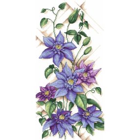 4963 Kék klematisz 25x50 cm