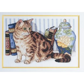 6437 29  Cicus 28,5x18 cm