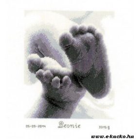 PN-0149170 Baby Feet Birth Sampler  20x18 cm