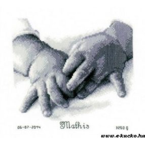 PN-0150172  Baby Hands Birth Record 20x18 cm