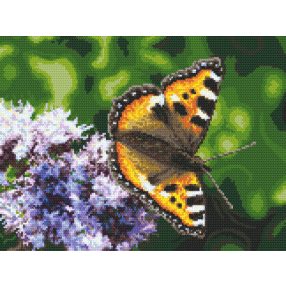 8523 Butterfly 28x37 cm