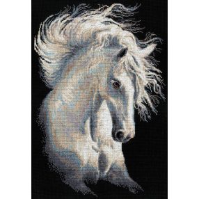 1451 Andalusian Character 30x45 cm