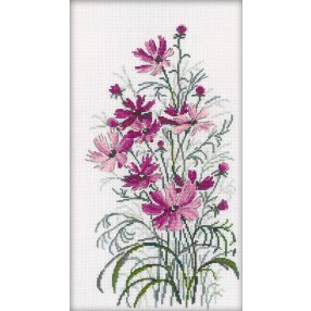 m260 Cosmos 20x36 cm