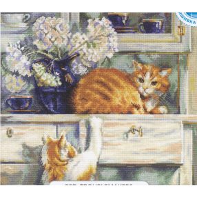 m482  Red troublemakers 35x30 cm