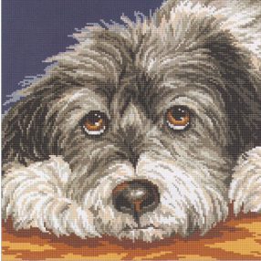 m413 Dog melancholy 29x29 cm