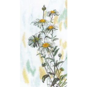 m261 Tender Daisies 20x36 cm