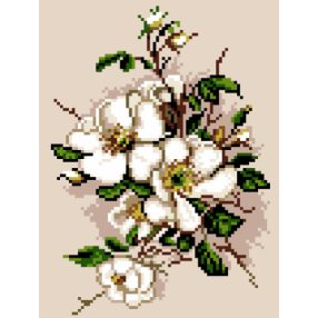 5477 Alma virágzás 18x24 cm