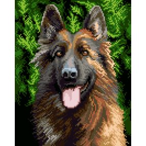 5485 Alsatian 24x30 cm