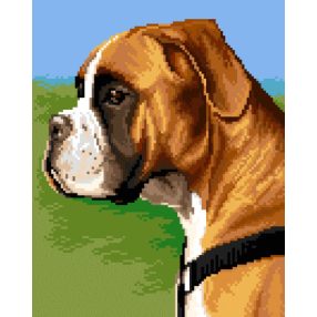 5483 Boxer 24x30 cm