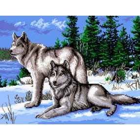 7222 Wolves 51x40 cm