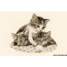 PN-0148985 Cicusok 23x20 cm