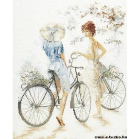 PN-0007949 Bicycles 49x39 cm