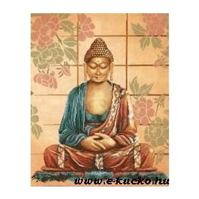 PN-0008040 Buddha 39x49 cm