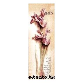 PN-0008049 Iris 20x60 cm