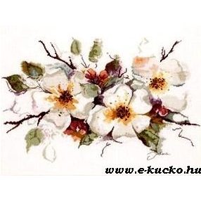 PN-0008051 Apple Blossom 39x49 cm