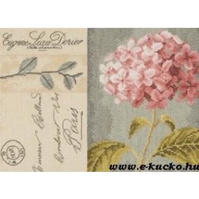 PN-0008104 Hydrangea 20x28 cm