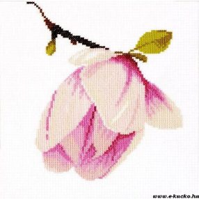 PN-0008161 Magnolia 20x20 cm