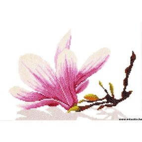 PN-0008162 Magnolia branch and Flower 30x20 cm
