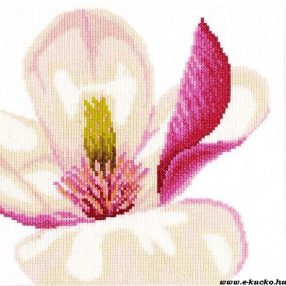 PN-0008163 Magnolia Flower 20x20 cm