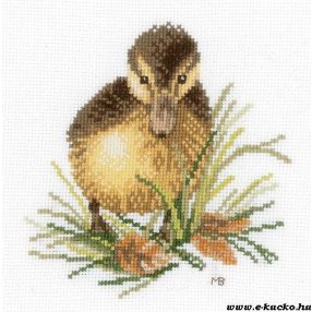 PN-0146975 Duckling I 14x14 cm