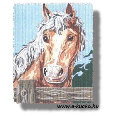 5056 Ló 30x40 cm