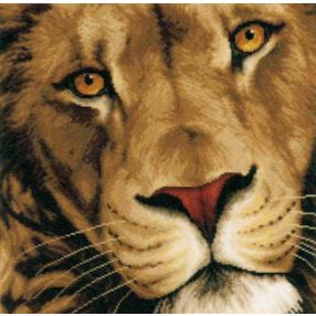 PN-0154980 Lion 35x34cm
