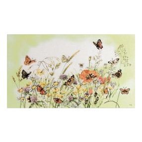 PN-0007967 Wild flowers 56x32