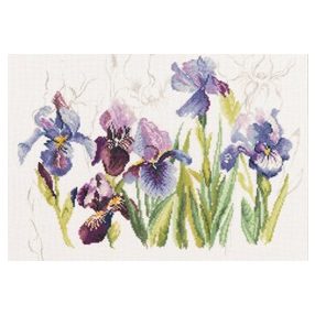 PN-0008027 Irises 40x28 cm