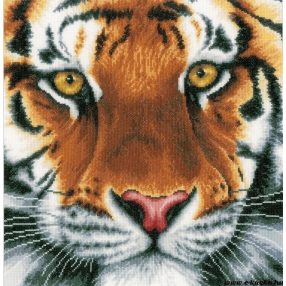 PN-0156010 Tiger 36x34 cm