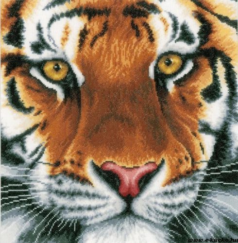 PN-0156010 Tigris 36x34 cm