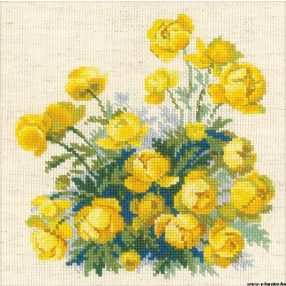 1515 Globe Flower 20x20 cm