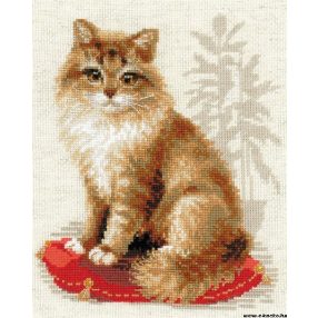 1525 The cat 24x30 cm