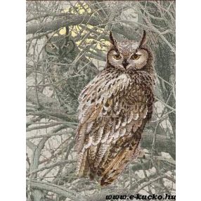 PT-0038 Eagle Owl 30x40 cm