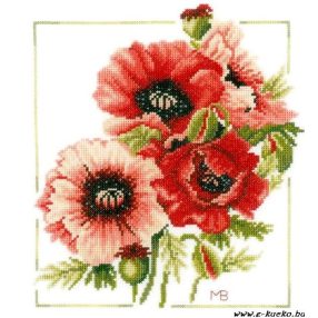 PN-0157496 Anemonies 25x25 cm