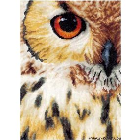 PN-0157518 Owl 19x26 cm