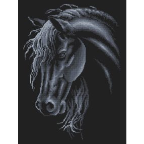 ZN4985 Black horse 30x40 cm