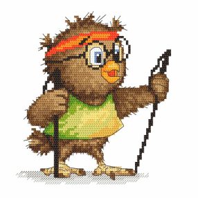 ZN10004 Little owl  16x16 cm