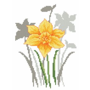 ZN8622 Spring flowers - Daffodil 15x20 cm