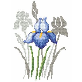 ZN8621 Spring flowers – Irises 15x20 cm
